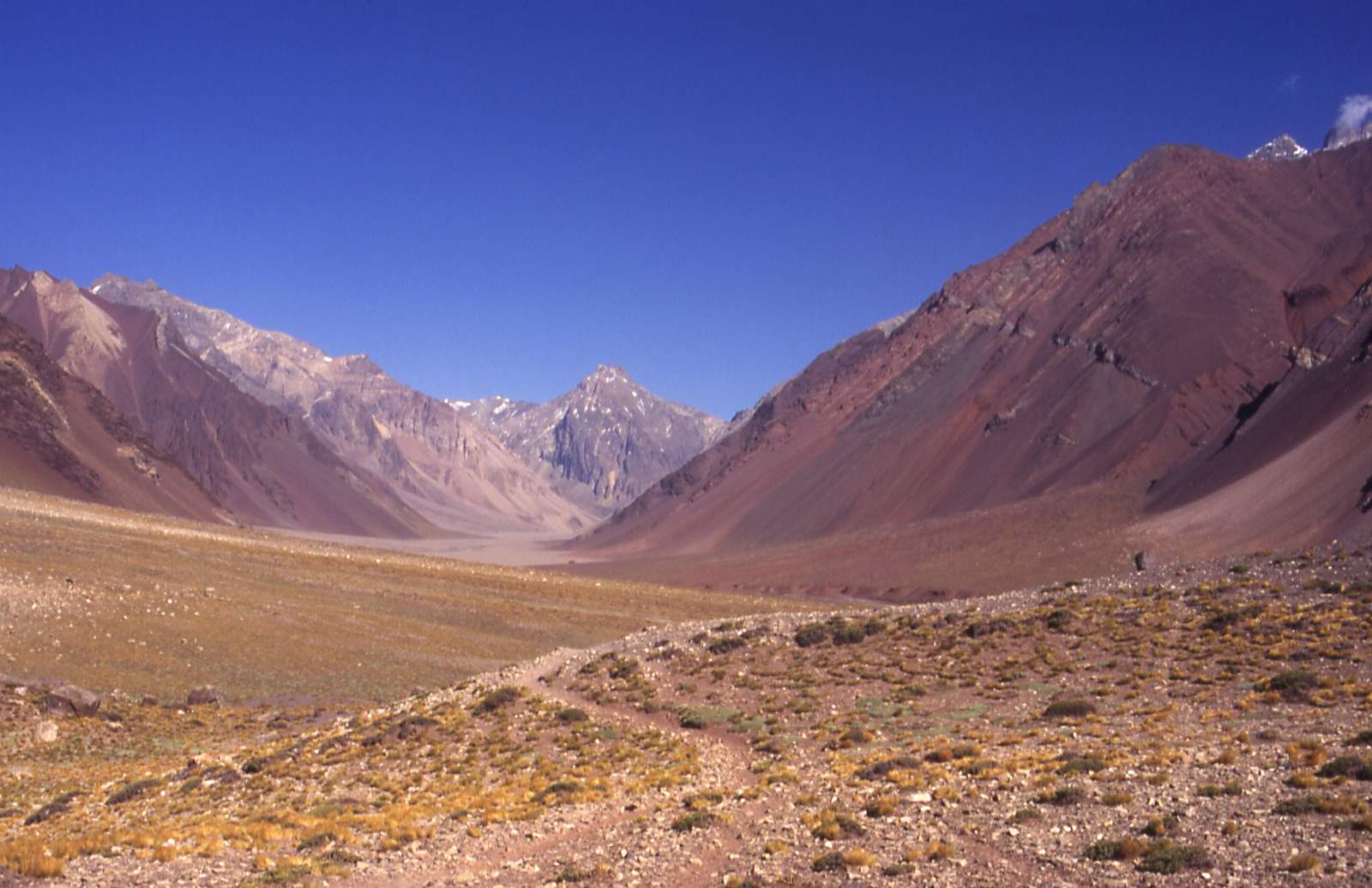 The Horcones valley below Aconcagua