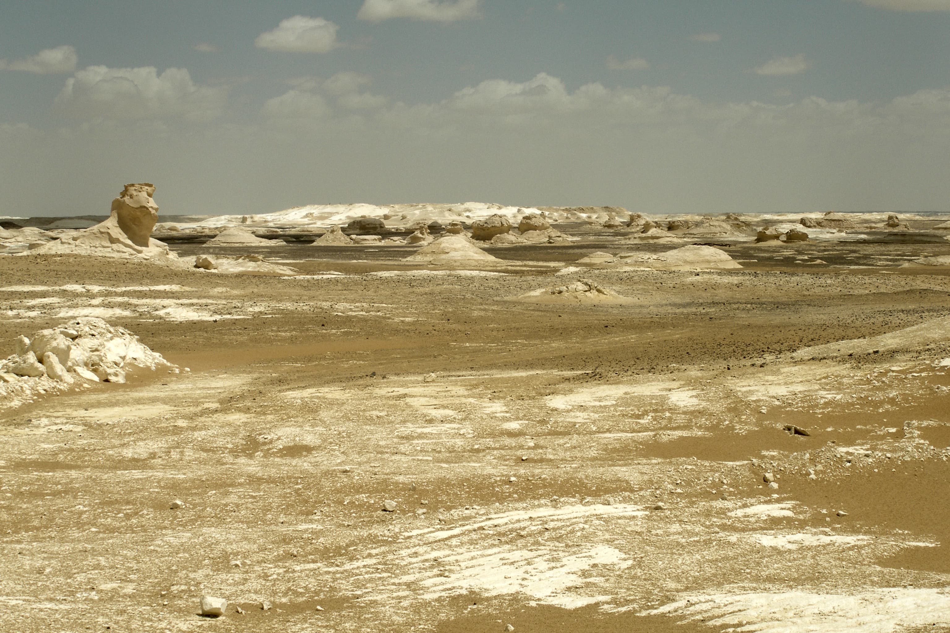 Desierto Blanco — Overnight desde Bahariya
