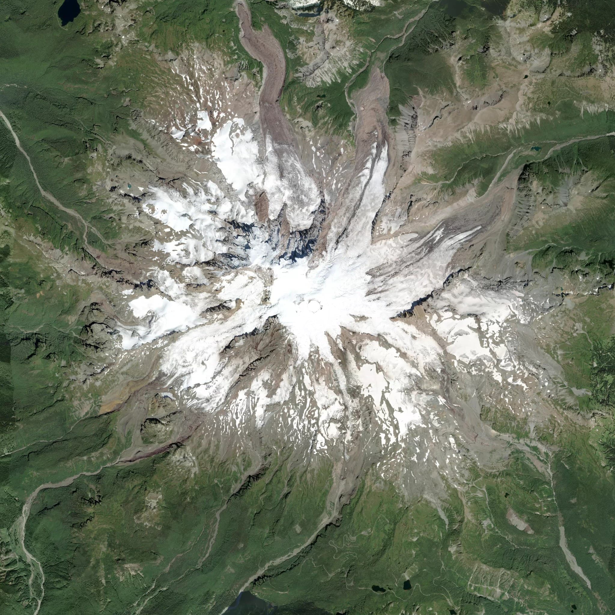 Rainier satellite terrain view
