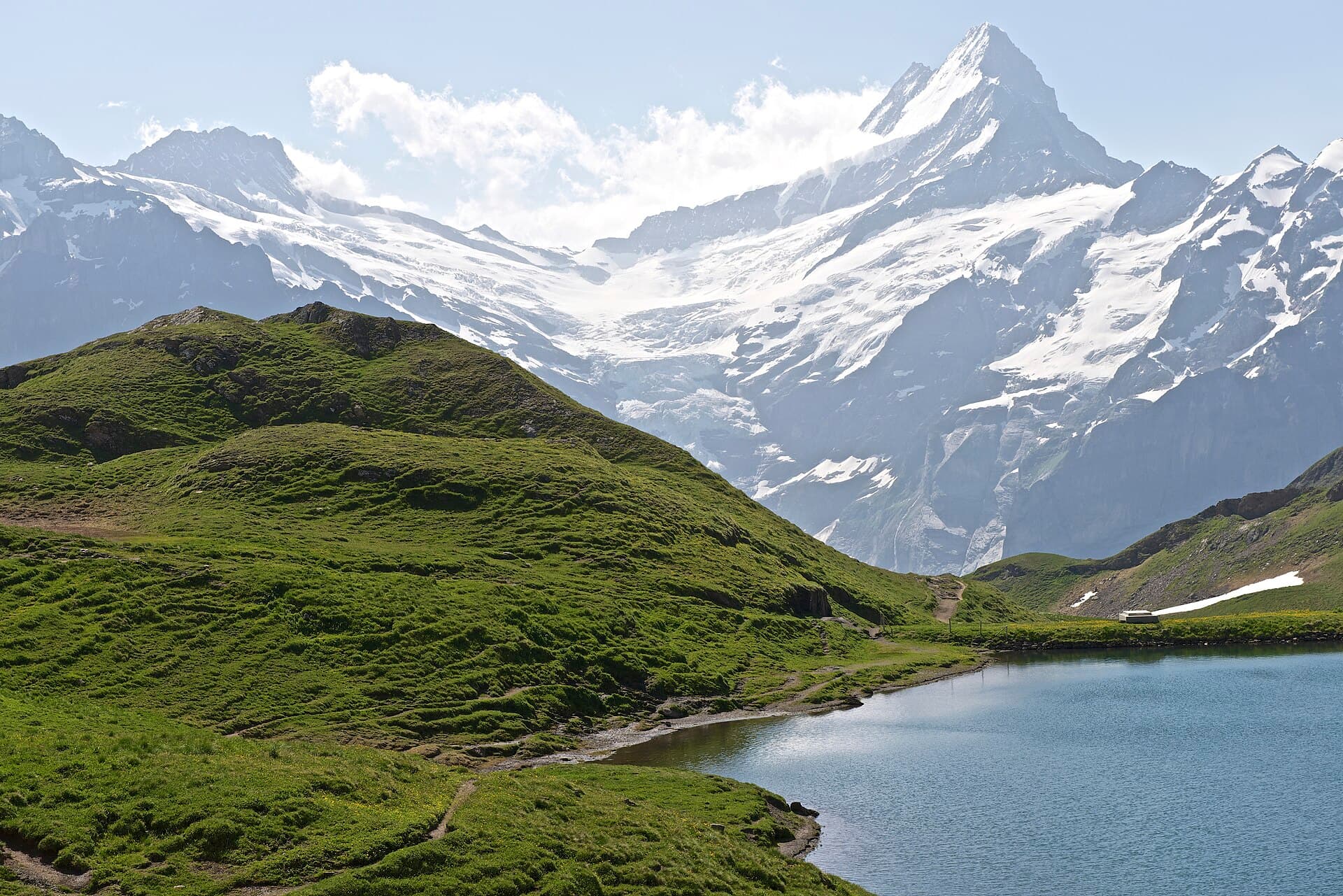 The Schreckhorn reflected in the Bachalpsee