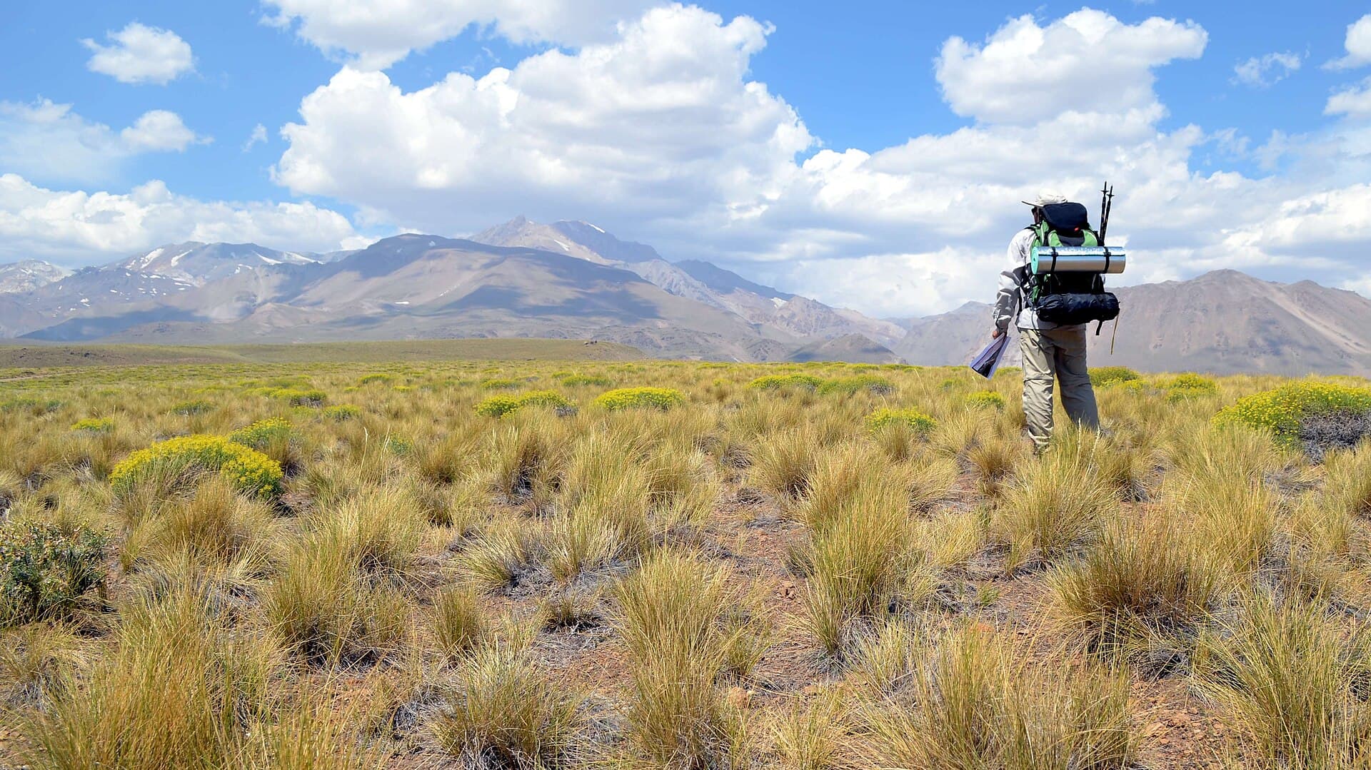 Un trekker cruzando la estepa de coirón con el macizo del Domuyo detrás