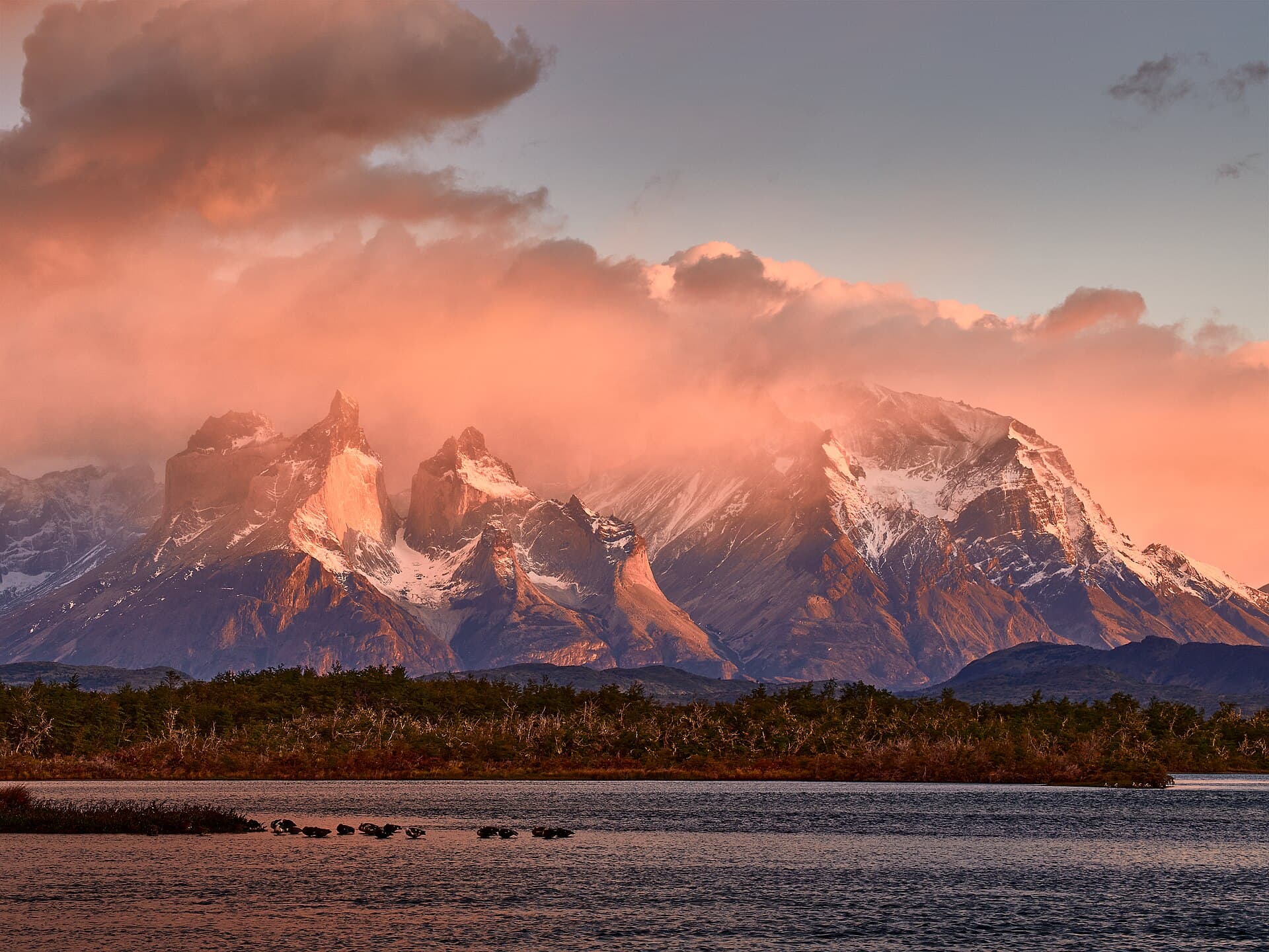 Sunrise light on the Cuernos del Paine