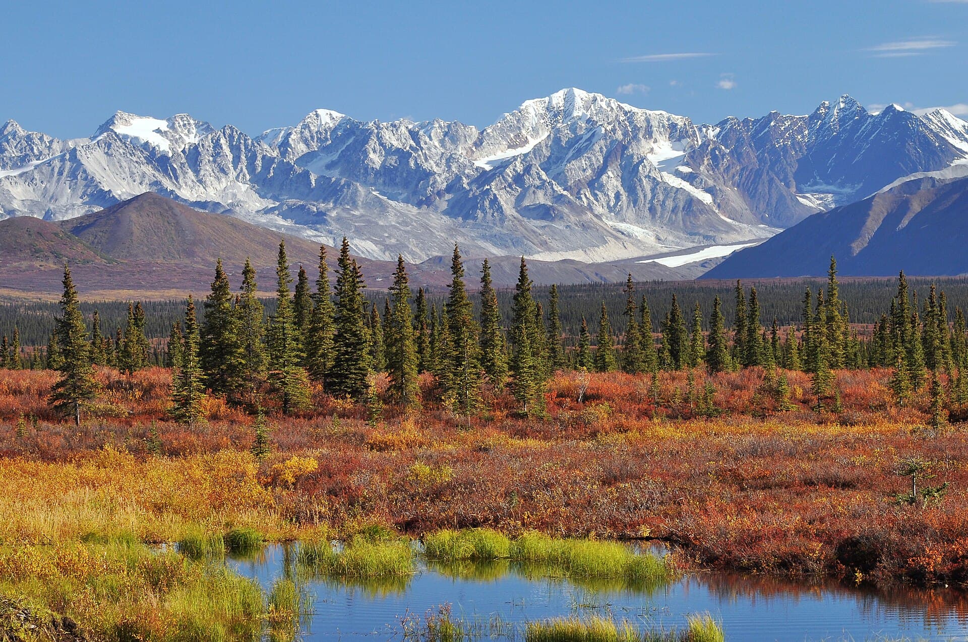 The Alaska Range above autumn tundra