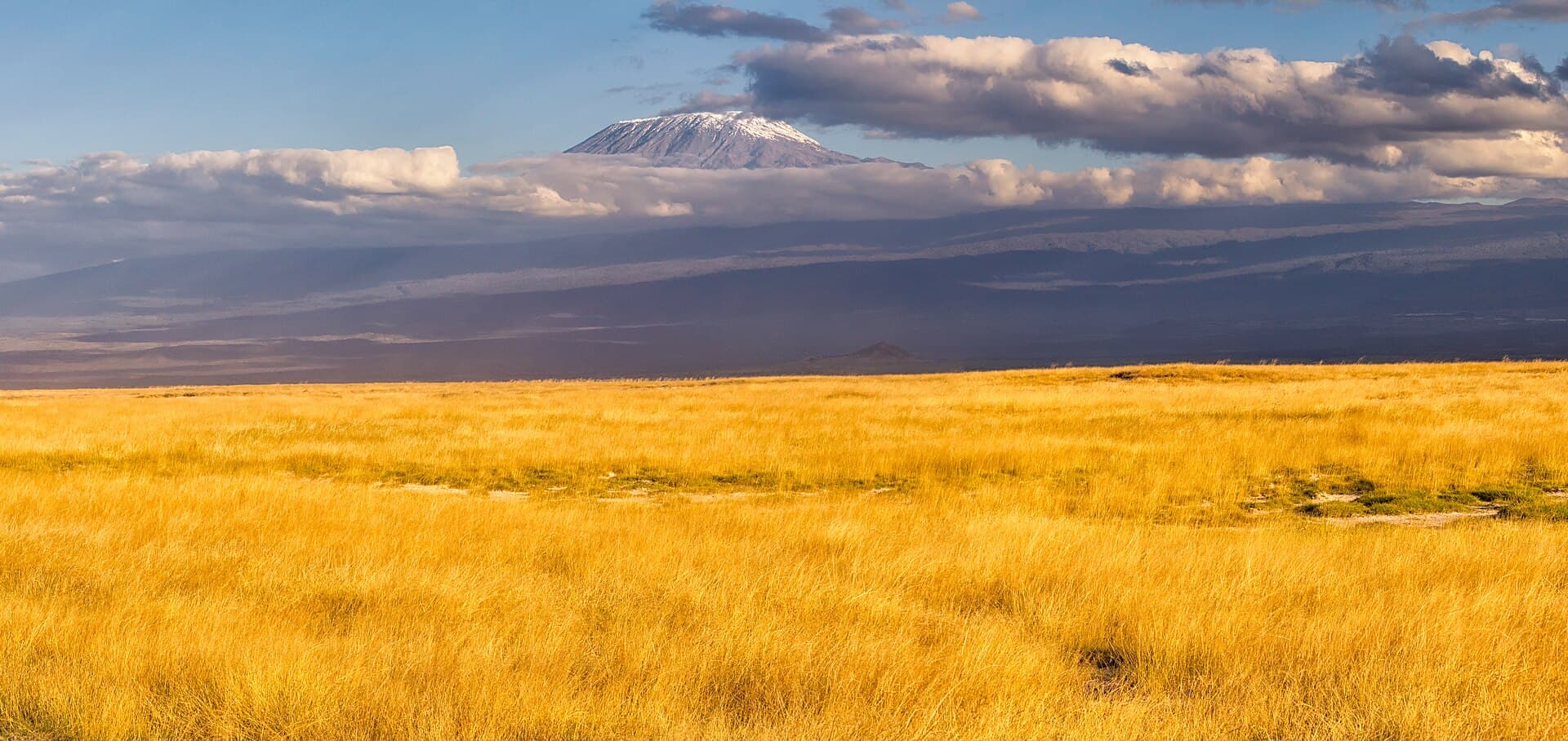 Kilimanjaro above the plain